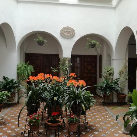 Apartamentos Torre De La Mezquita 코르도바 외부 사진